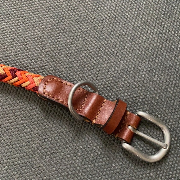 ZARA Dog Collar - Picture 5 of 8